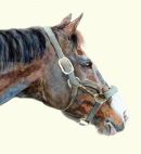 Sadlers Wells
giclee print 18"x16" D.M.Dent
£95